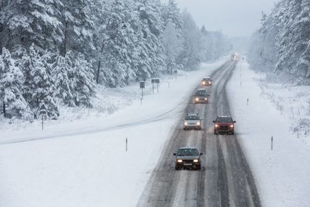 Road with Snow